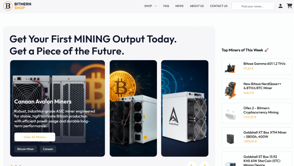 How Bitmern Minimizes Investor Risk With “Hands-Off” Hosting Solutions 1 - Bitmern Mining image 13 - Bitmern Mining
