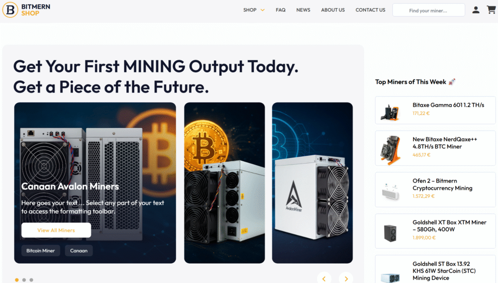 How to Choose the Right Number of Miners Based on Your Capital in 2025: 3 Powerful Insights 1 - Bitmern Mining image 5 - Bitmern Mining
